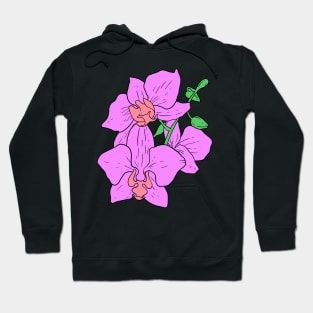 Pink Moth Orchid Hand Drawn Gardening Gift Hoodie